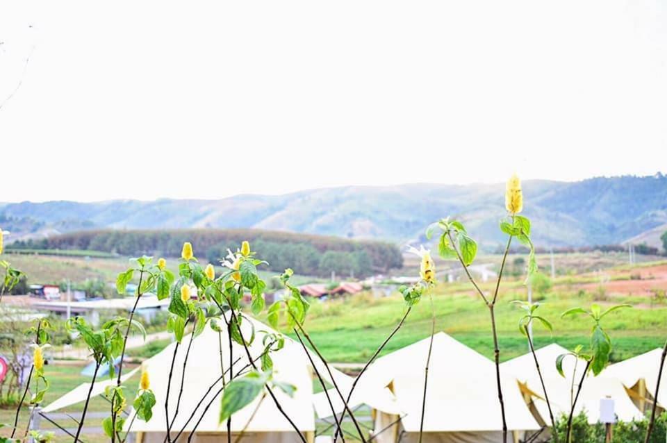 فندق Kondee Cino Cafe & Glamping كاو كو المظهر الخارجي الصورة